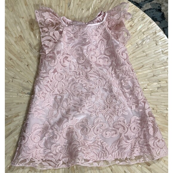Baby Biscotti‎ Dress Flutter Short Sleeve Lace Satin Layer Bow Pink Girl 24 M - Picture 1 of 3